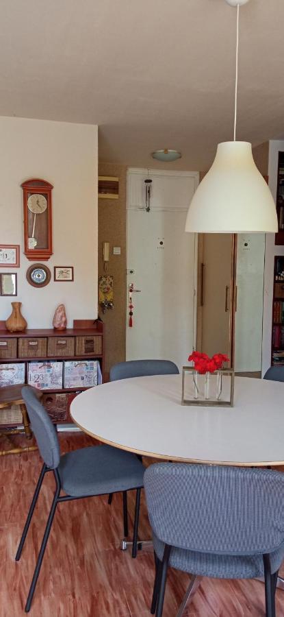 Branysol Apartman Novi Sad Exterior foto
